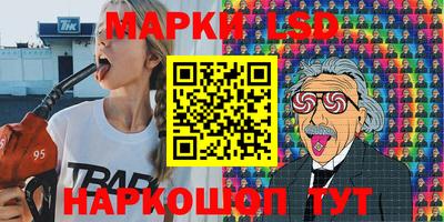 apvp Свободный