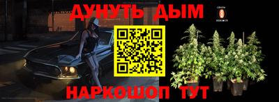 прущие грибы Севастополь