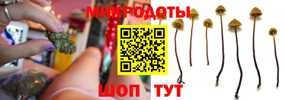 Псилоцибиновые грибы мухоморы Трёхгорный